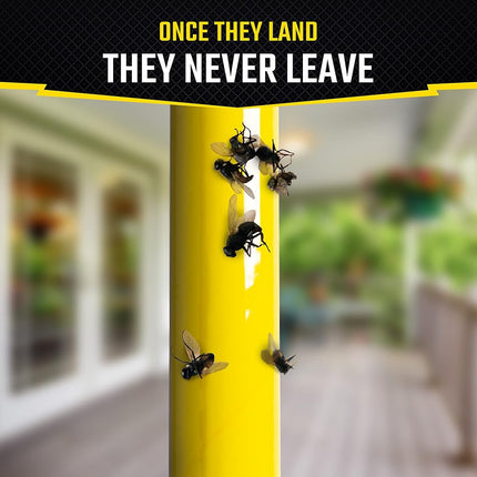 Black Flag Fly Stick Insect Trap, 6-Pack