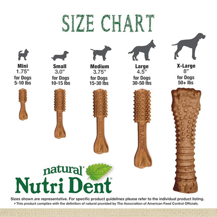 Nylabone Nutri Dent Dog Dental Chews - Natural Dog Teeth Cleaning & Breath Freshener - Dental Treats for Dogs - Filet Mignon Flavor, Medium (20 Count)