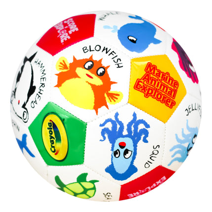 Crayola Official Soccer Ball - Unisex Kids - CRAY91BL Marine Size 5