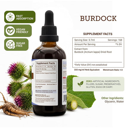 Burdock Tincture Alcohol-Free Liquid Extract, Organic Burdock (Arctium Lappa) Dried Root 4 FL OZ