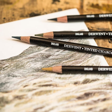 Derwent Tinted Charcoal Drawing Pencils, Drawing & Writing, Set Of 24, Watersoluble, Ideal For Blending & Smudging, Professional Quality, 2301691