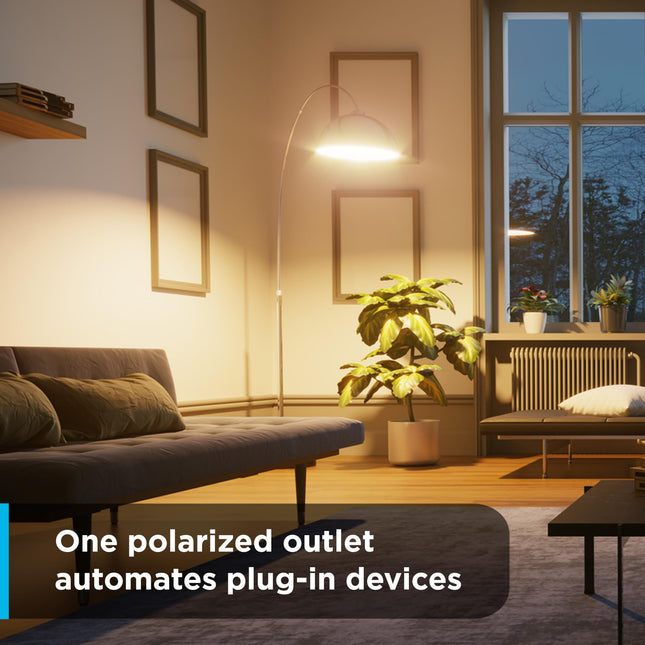 GE 3 Pack, 44801 24-Hour Indoor Basic Timer, Plug-in, Daily On/Off Cycle, 30 Minute Interval, for Lamps, Seasonal Appliances, and Portable Fans, 3 Count, Mini Polarized 1-Outlet | Gray/White