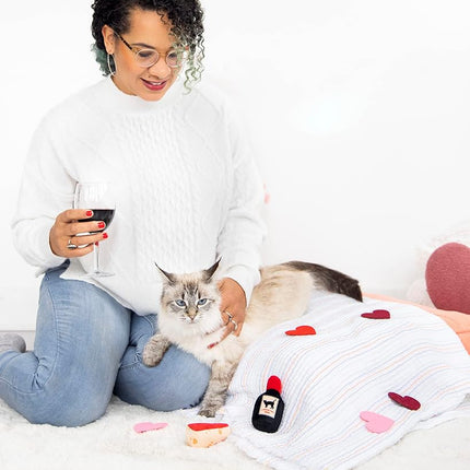 Set de 2 juguetes de queso y vino para gatos Pearhead – Juguetes de peluche con hierba gatera, arrugas y cascabel, juguetes interactivos para gatos de interior para el Día de San Valentín