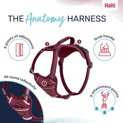 Halti Anatomy Dog Harness with Handle | Size S, Magenta