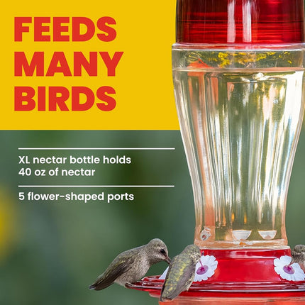 More Birds Bird Health+ Big Gulp Hummingbird Feeder, Glass Hummingbird Feeders for Outdoors, 5 Feeding Stations, 40 Ounces