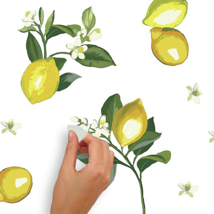 RoomMates RMK4712GM Lemon Peel and Stick Wall Decals, Yellow, Green