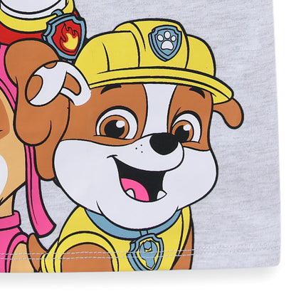 Nickelodeon Paw Patrol 2 Pack Short Sleeves Tee and Shorts Set for Girls, Kid’s Outfit Bundle, Size 3T Light Gray