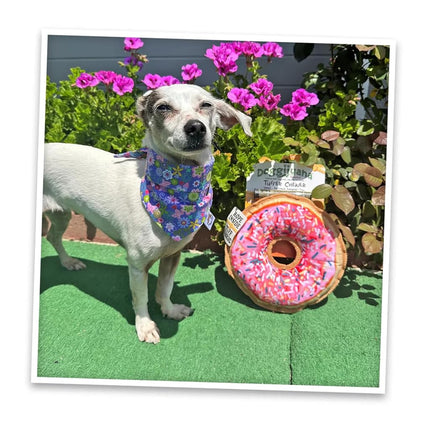 Doggijuana Doggi Duo Refillable Juananip Toy Bundle | Pink Donut & Juananip | Funny Dog Toy Plush with Catnip and Refill | Interactive Chew for Play
