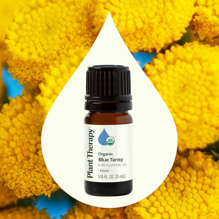 Plant Therapy Blue Tansy Organic Essential Oil 5 mL (1/6 oz) 100% Pure, Undiluted, Therapeutic Grade