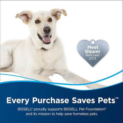 BISSELL HOMECARE INTERNATIONAL 7149 Bissell Spot and Stain with Febreze Formula, 32-ounces