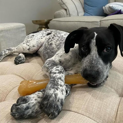 Nylabone Dura Chew Chicken Extra Large (souper) Dog Chew