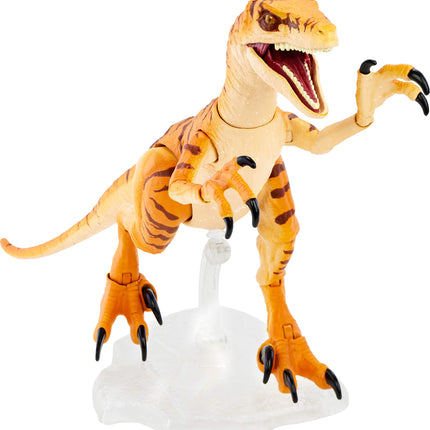 Jurassic World Amber Collection Tiger Velociraptor 6-in Dinosaur Action Figure, Movie-authentic Detail, Movable Joints & Figure Display Stand, Collectible Gift 8 Years & Up