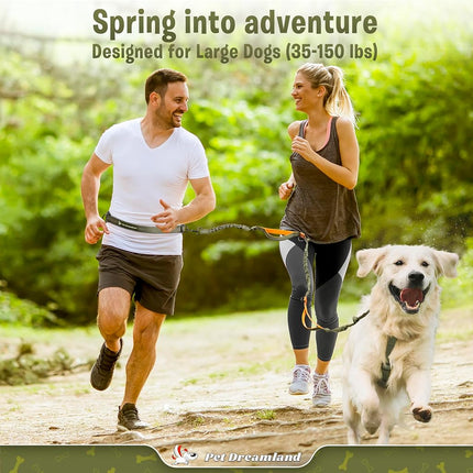 Correa manos libres Pet Dreamland para correr, caminar, hacer senderismo, ciclismo y entrenar con perros. Arnés elástico, cinturón ajustable, asa simple o doble, costuras reflectantes. Perros pequeños, medianos, grandes.