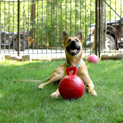 Horsemen's Pride Tug-n-Toss Jolly Ball, 8-Inch, Red