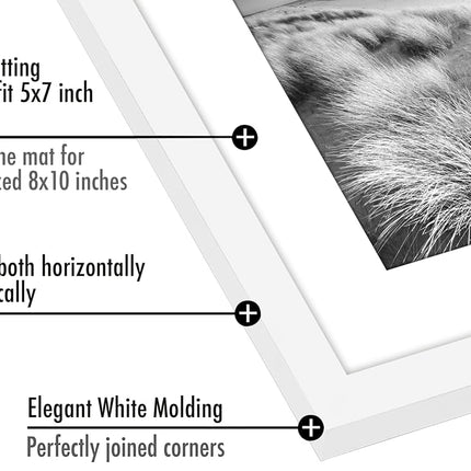 Americanflat 10x8 Photo Frames in White - Set of 2 - Use as 7x5 Photo Frames with Mount or 10x8 Picture Frames without Mount - Horizontal and Vertical Formats for Wall and Tabletop