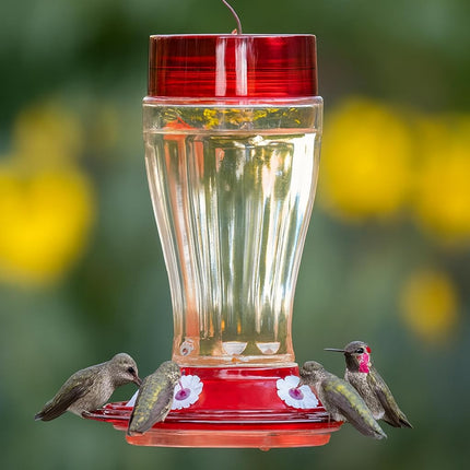More Birds Bird Health+ Big Gulp Hummingbird Feeder, Glass Hummingbird Feeders for Outdoors, 5 Feeding Stations, 40 Ounces