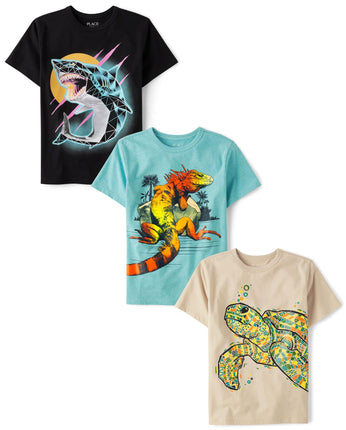 The Children's Place Boys' Gamer Short Sleeve Grap