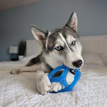 Nylabone Spin Tug & Play Puppy Chew Toy for Teething - Puppy Supplies - Peanut Butter Flavor, Medium/Wolf (1 Count)