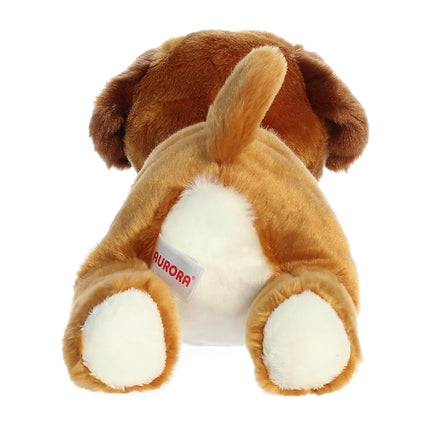 Aurora 12" Chad Boxer
