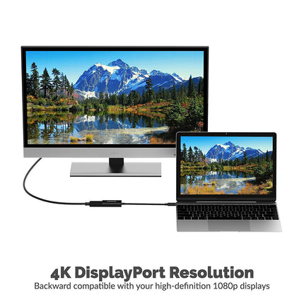 SABRENT Display Port USB C adapter, USB-C 3.2x1monitor converter supports 4K resolutions up to 3840 x 2160, compatible with PCs, notebooks, tablets, MacBooks, etc. (DA-DPUC)