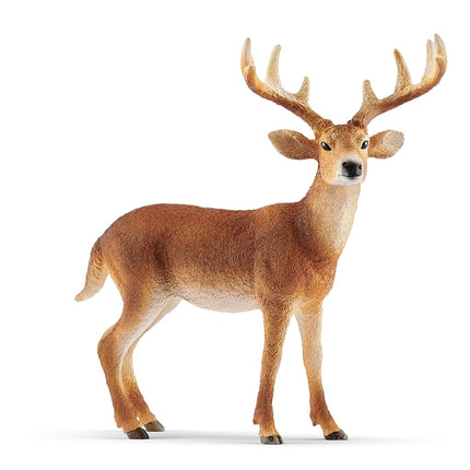 Schleich Wild Life - White-Tailed Buck Toy Figurin