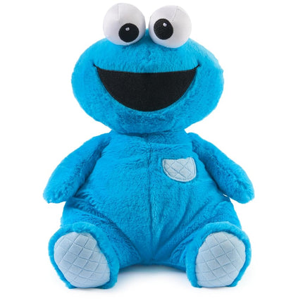 GUND Sesame Street Official Oh So Snuggly Cookie M