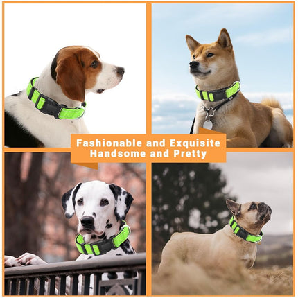 LIEVUIKEN 2 Pack Reflective Dog Collar with Safety Locking Buckle