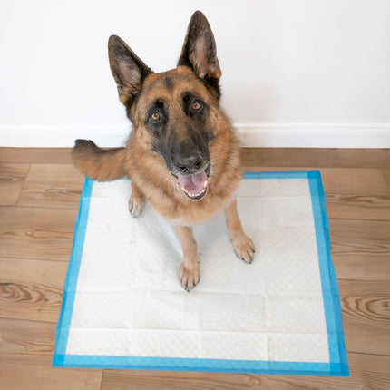 Four Paws Wee-Wee Superior Performance Pee Pads for Dogs - Dog & Puppies, with 6-Layer Leak Proof Technology, for House Training – Extra Large, 71cm x 86cm (28" x 34"), (21 Count)