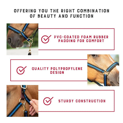Weaver Leather 35-6065-BL Padded Breakaway Adjustable Chin & Throat Snap Halter, 1" Average Horse or Yearling Draft, Blue Striped
