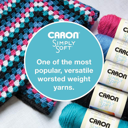 Caron Simply Soft Lavender Blue Yarn - 3 Pack of 170g/6oz - Acrylic - 4 Medium (Worsted) - 315 Yards - Knitting/Crochet