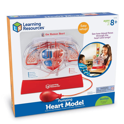 Learning Resources Pumping Heart Model, 12inx11inx5in