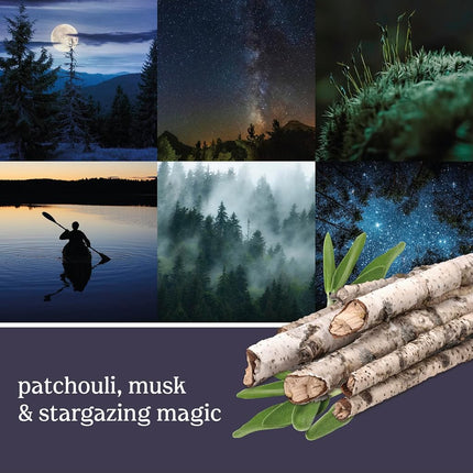 Yankee Candle 1194390 Midsummer's Night Vent Stick 4 Pack