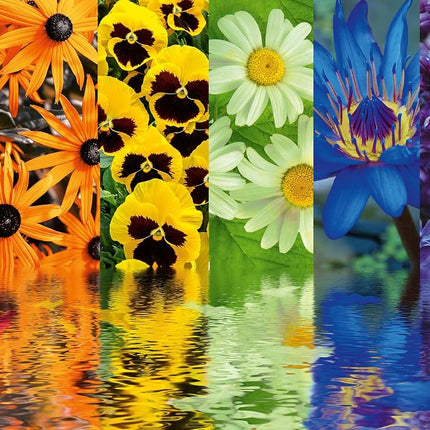 Ravensburger Floral Reflections 500 Piece Jigsaw P