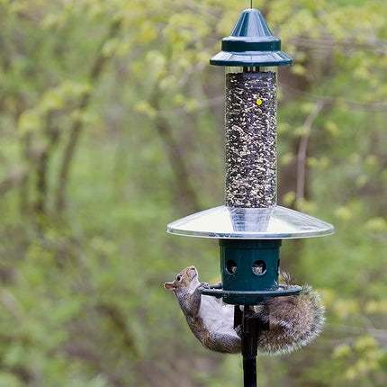 Jacobi Jayne 1024-V01 Feeder Buster Plus-Marauders Off Guaranteed Squirrel and Large Bird Proof/Metal, Green