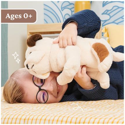 GUND Peluche de cachorrito bulldog Toast, perro de peluche para mayores de 0 años, 10 pulgadas, marrón/blanco