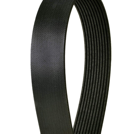 Continental 4100975X 10 Ribs 97.50" Multi-V Belt