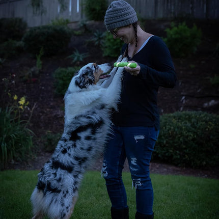Chuckit! Juguete para perro Max Glow Ultra Fetch Stick para exteriores, 30 cm, para todas las razas