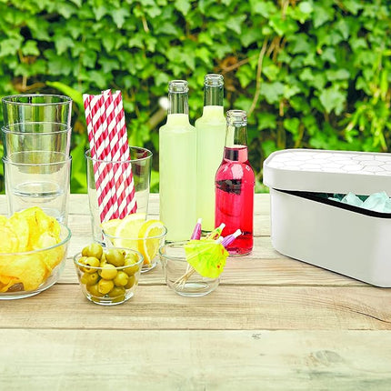 Lekue Ice Box, White