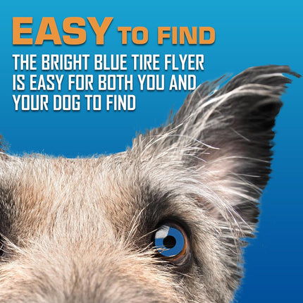 Nerf Dog Rubber Tire Flyer Dog Toy, Flying Disc, Lightweight, Durable, Floats in Water, Great for Beach and Pool, 10 Inch Diameter, for Medium/Large Breeds, Single Unit, Blue, Original