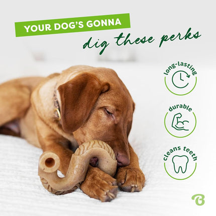 Benebone Tripe Bone Durable Dog Chew Toy for Aggressive Chewers, Real Tripe, Made in USA (Medium)