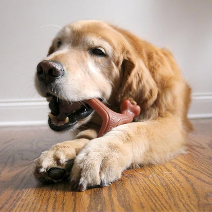 Nylabone Wishbone Strong Dog Chew Toy Made with Real Bacon, Durable Chew Bones for Aggressive Chewers, Lasting Flavour to Keep Dogs Busy, Toys for Large Dogs