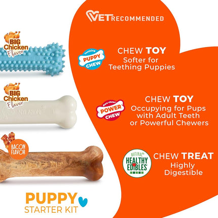 Nylabone Puppy Chew Toys & Natural Treat Triple Pack, Blue, Chicken & Bacon Flavor, Small - Up to 25 Ibs, 3 Pack