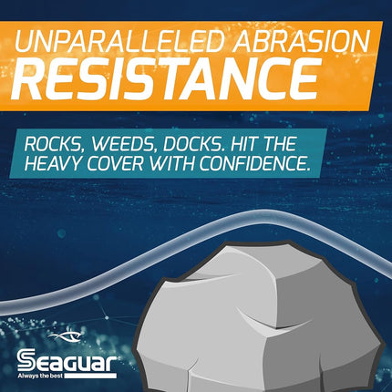 Seaguar Blue Label 100% Fluorocarbon Leader (DSF) 50yd 30lb