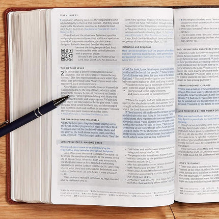 CSB Life Essentials Study Bible, Brown Leathertouch [Imitation Leather] Getz, Gene A; Csb Bibles by Holman and Stabnow, David K