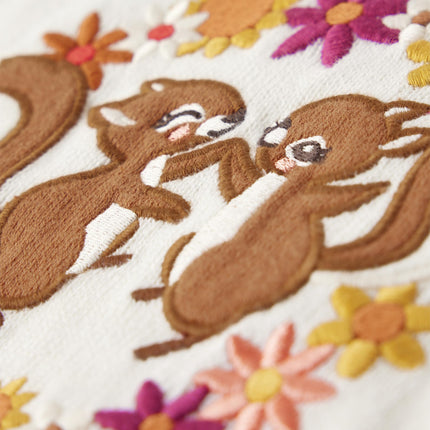 Gymboree Girls and Toddler Long Sleeve Sweaters, Squirrel Friends, 6