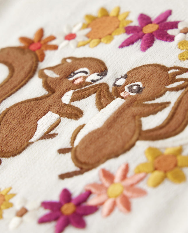 Gymboree Girls and Toddler Long Sleeve Sweaters, Squirrel Friends, 6