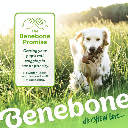 Benebone 2-Pack Fishbone/Wishbone Durable Dog Chew Toys, Dog Bones, Large