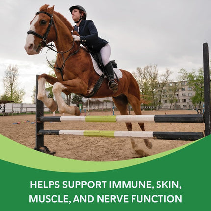 Equine Medical Health E - 60 Day Supply