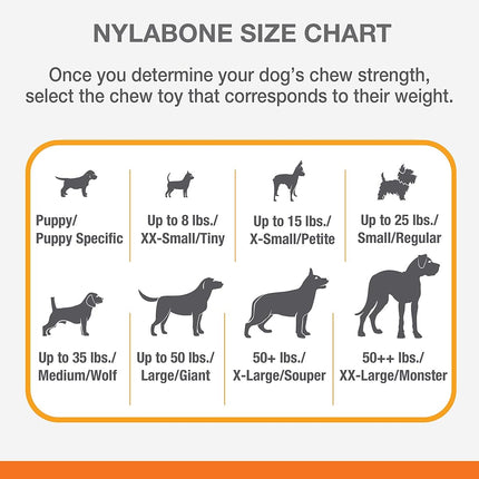 Nylabone Power Chew Marrow Bone Alternative Dog Chew Toy