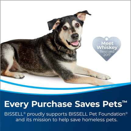 Bissell Carpet Cleaners Rinse & Storage Tray-ProHeat 2X Revolution Pet Pro, 3263, Black